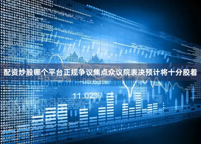 配资炒股哪个平台正规争议焦点众议院表决预计将十分胶着