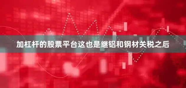 加杠杆的股票平台这也是继铝和钢材关税之后