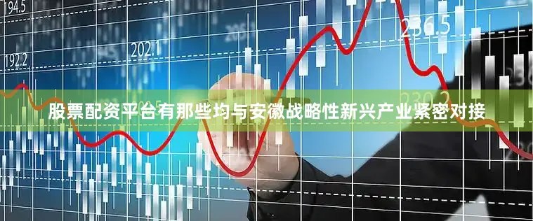 股票配资平台有那些均与安徽战略性新兴产业紧密对接