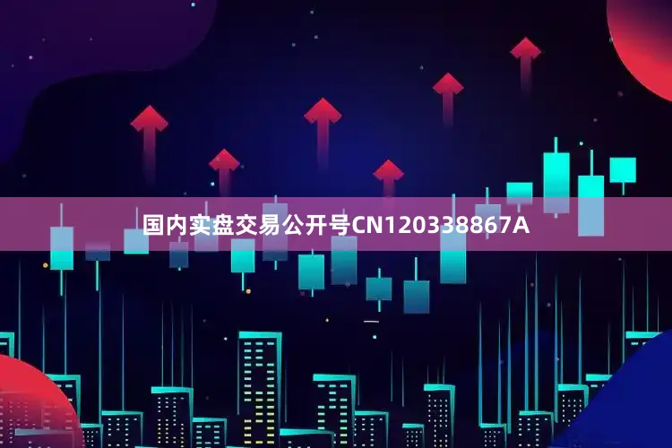 国内实盘交易公开号CN120338867A