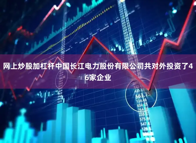 网上炒股加杠杆中国长江电力股份有限公司共对外投资了46家企业